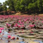 Dibir Haor jaflong