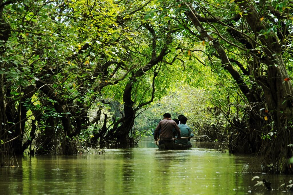 Exploring the Hidden Gems of Sylhet