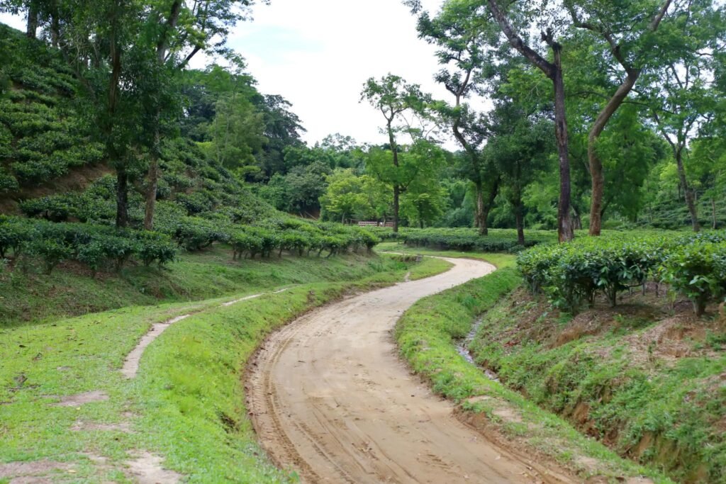 Khadimnagar National Park, খাদিমনগর জাতীয় উদ্যান