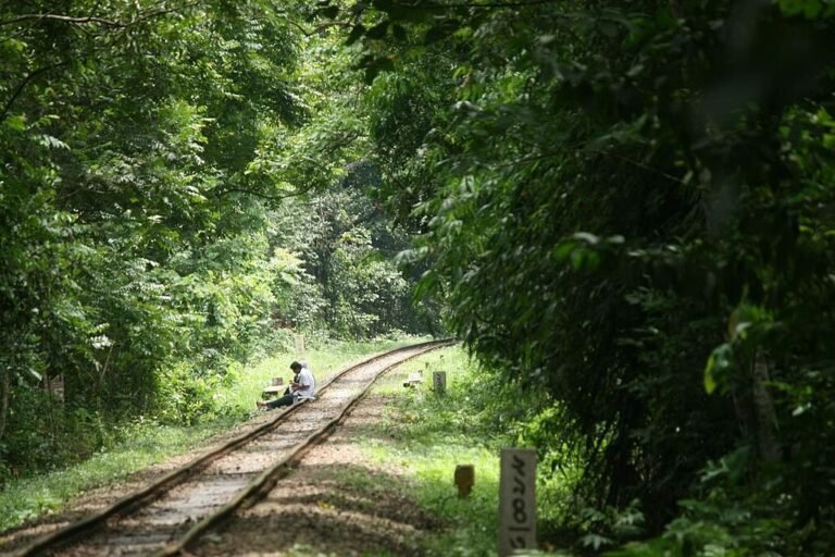 লোভাছড়া সৌন্দর্য, Lovachara