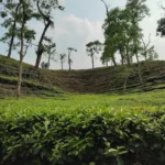 Satchari National Park sylhet