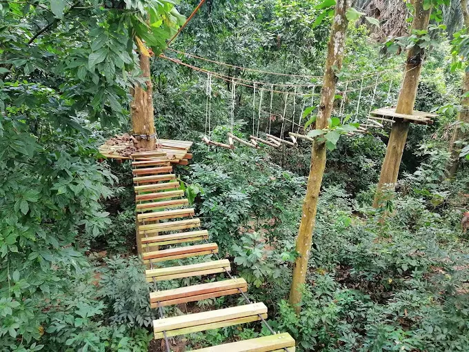 Satchari National Park Jaflong